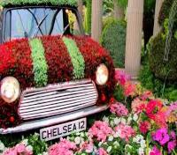 Chelsea Flower Show 2010 Chelsea Flower Show 2010